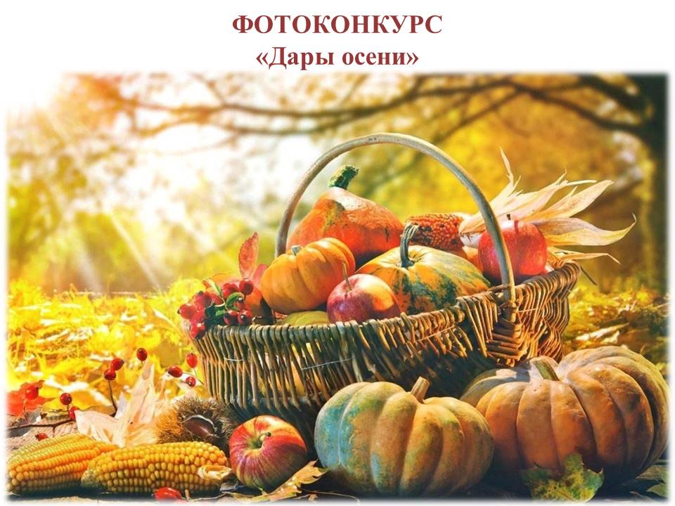 Фотоконкурс «Дары осени».